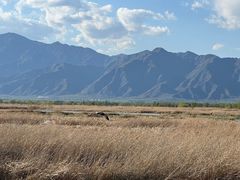 -野鸭湖国家湿地公园
