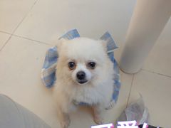 -怪兽屋·羊驼·猫咖·狗咖(俊华广场店)