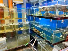 -美味海鲜大排档(明发美食地标店)