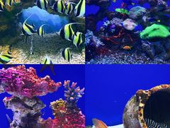 -海合安青岛极地海洋公园