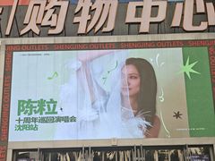 -盛京大奥莱(沈阳奥体店)