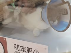 -帕帕拉兹宠物(亚洲旗舰店)