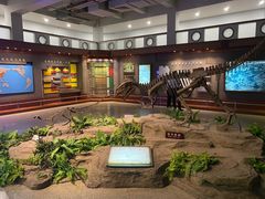 -自贡恐龙博物馆