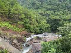 -广州白江湖森林公园