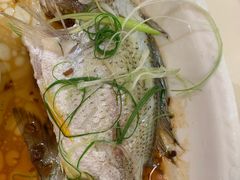 -益利大酒楼(井岸店)