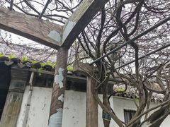 -东山风景区(洞庭东山)