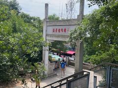 -紫金山山顶公园