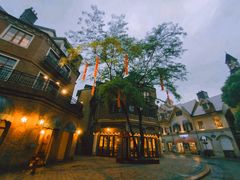 -中旅阿那亚九龙湖·公主酒店