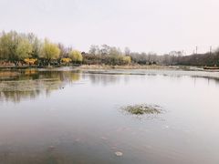 -前关湿地公园