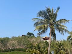 -三亚南山文化旅游区