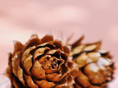 -敬亭山风景名胜区