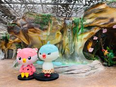 -杭州开元森泊度假乐园