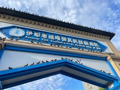 -伊犁老城喀赞其民俗旅游区