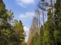 -合肥三国新城遗址公园