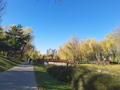 -元大都城垣遗址公园