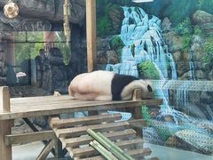 -大青山野生动物园