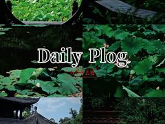 -老桂湖公园-杨升庵博物馆