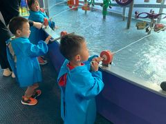 -中国宋庆龄青少年科技文化交流中心