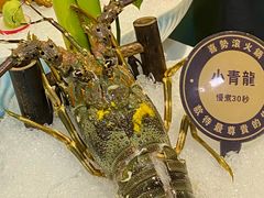 -喜聚薈·花膠雞海鮮火鍋(越秀店)