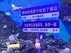 -横店影视城梦幻谷园区