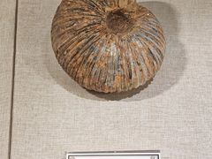 -辽宁古生物博物馆