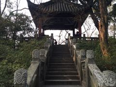 -檀园