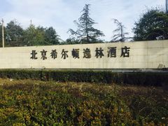 -北京希尔顿逸林酒店-逸轩西餐厅-自助餐厅