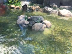 -绿野餐厅(上海动物园店)