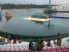 -秦皇岛乐岛海洋王国