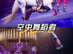 -广州长隆国际大马戏