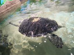 -石家庄海洋公园