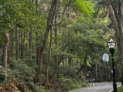 -潜山国家森林公园