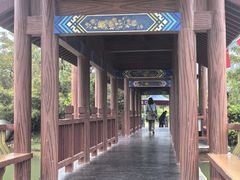 -靖西鹅泉风景区