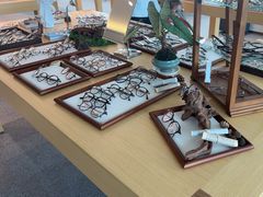 -Eziwish眼镜·蔡司授权店