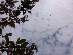 -府河摄影公园