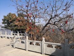 -沈阳辉山风景区