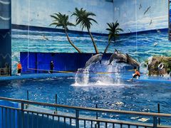 -多彩贵州城极地海洋世界