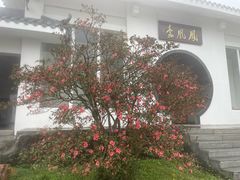 -梧桐山风景名胜区