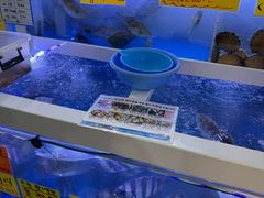 -西归浦每天偶来市场