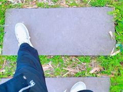 -顾村公园