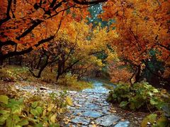 -昆山城市生态森林公园