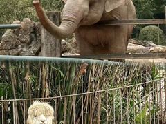 -杭州野生动物世界