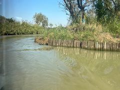 -泗洪洪泽湖湿地景区
