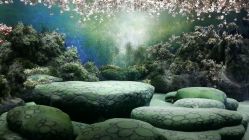 点击看大图 android_upload_pic-金海岸婚纱摄影(塘沽店)