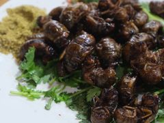 -三中高皇羊肉馆