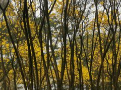 -松山湖风景区松湖烟雨