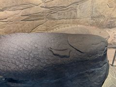 -白鹤梁水下博物馆