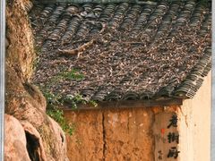 -杨家堂村