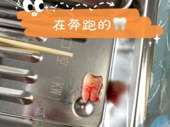 -同济大学附属口腔医院