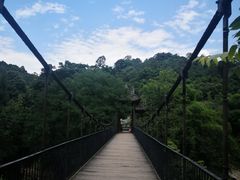 -凤栖山